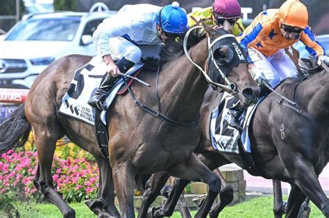 sa derby field|Final field, barrier draw for $1 million Group 1 SA Derby.
